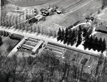 PUC Greenhouses, 1972. (London Free Press files)