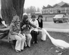 A group of women feed a swan, summer of 1974.