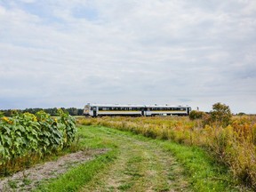 The Charlevoix Train offers a 125-kilometre scenic ride from Baie-Saint-Paul to La Malbaie.