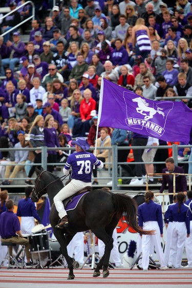 Western's pony that loops the field every touchdown had a workout Saturday in Western's 44-6 home-opening win over the McMaster Marauders in London, Ont. 
Photograph taken on Saturday September 8, 2018. 
Mike Hensen/The London Free Press/Postmedia Network