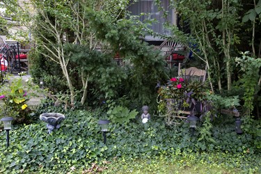 Overflowing with charm: Passersby are welcomed into to the lush forest-like garden at 495 Emery St. E.  in London where they may imagine for a moment they are that child at play at the feet of a charming old rocker. (DEREK RUTTAN, The London Free Press)