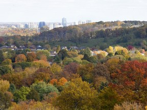 A view of the city of London from the top of Boler Mountain (London Free Press file photo)