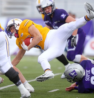 Western linebacker Fraser Sopik trips up Laurier running back Kevin Wong behind the line of scrimmage in the Western Homecoming game on Saturday October 20, 2018 at TD stadium.
The Mustangs won 46-13 after a strong second half against the Golden Hawks, leaving them undefeated for the season.
Mike Hensen/The London Free Press/Postmedia Network