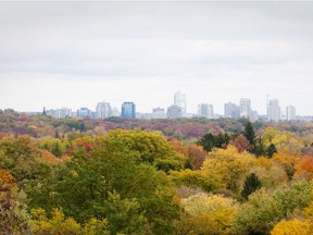 Treetops form a colourful patchwork of fall hues with a view of the downtown skyline as seen from Scenic View Park in west London. (File photo)