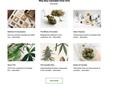 The Ontario Cannabis Store has launched part of its website, which includes a ton of detailed and nuanced information about marijuana.