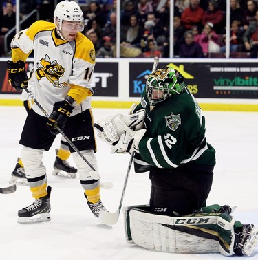 London Knights goalie Joseph Raaymakers makes a save in front of Sarnia Sting's Brayden Guy  during the first period of their game Sunday, Oct. 21 at Progressive Auto Sales Arena in Sarnia. (Mark Malone/Postmedia Network)