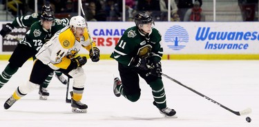 London Knights' Connor McMichael (11) is chased by Sarnia Sting's Jacob Perreault (44) during the second period of their game Sunday, Oct. 21 at Progressive Auto Sales Arena in Sarnia. (Mark Malone/Postmedia Network)