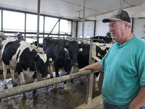 St. Marys dairy farmer and Dairy Farmers of Ontario regional director of Huron and Perth County's Henry Wydeven stands near his dairy cows. The new USMCA deal will impact Canadian dairy farmers. Terry Bridge/Stratford Beacon Herald/Postmedia Network