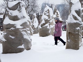 A woman walks past a number of shrubs and new trees covered in burlap for protection in this Postmedia file photo.