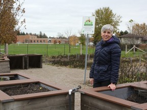 Jacqueline Madden, chair of the accessibility advisory committee, in the Ed Blake Community Garden where raised beds and a waist-height water spout were installed to make the plots more accessible for gardeners. (MEGAN STACEY/The London Free Press)