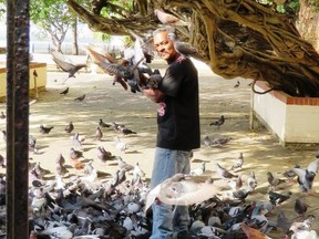 The Pigeon Man of San Juan, Puerto Rico, shows off his flock -- a site available on shore excursions from Caribbean cruise ships.. (Jim Fox photo)