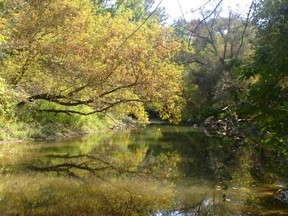 Dingman Creek (File photo)