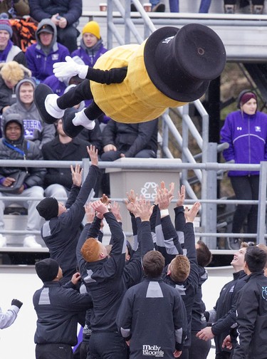 Western Mustang cheerleaders toss Mr. Peanut into the air  during the Yates Cup OUA championship game against the Guelph Gryphons  at TD Stadium in London, Ont. on Saturday November 10, 2018. Western won the game 63-14. Derek Ruttan/The London Free Press/Postmedia Network