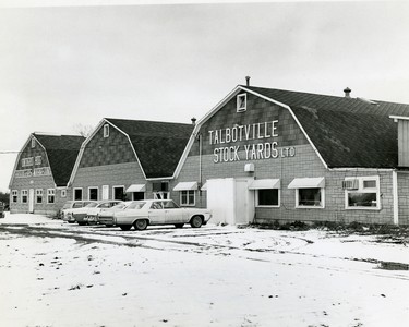 Talbotville Stock Yards Ltd., begun in 1956.  (London Free Press files)