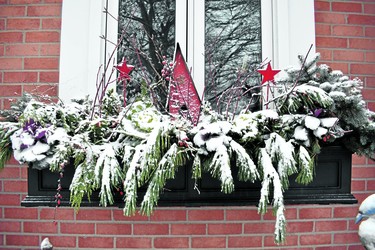 Byron’s Judy Bray had already decorated her Griffith Street property with beautiful outdoor season’s greetings when November’s first snow dropped by to enhance them. Bray’s garden is also one of the first in the neighbourhood to produce spring flowers. (THE LONDON FREE PRESS)