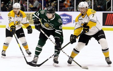Sarnia Sting's Nick Grima (7) checks London Knights' Paul Cotter (43) in the second period at Progressive Auto Sales Arena in Sarnia, Ont., on Sunday, Dec. 30, 2018. (Mark Malone/Chatham Daily News/Postmedia Network)