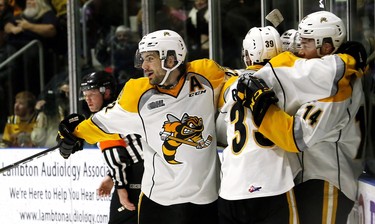 Sarnia Sting's Mitch Eliot (22), Jamieson Rees (39), Brayden Guy (14) and Jacob Perreault celebrate Guy's goal against the London Knights in the first period at Progressive Auto Sales Arena in Sarnia, Ont., on Sunday, Dec. 30, 2018. (Mark Malone/Chatham Daily News/Postmedia Network)