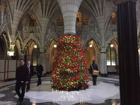 The Christmas tree in the main hall of Centre Block. What happens to this one after?
