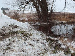 George Rich, 72, and Mary Wood, 69, were pronounced dead at the hospital after their vehicle rolled into this pond on Telephone Road, just east of Parr Line, in Huron County on Tuesday, Dec. 25, 2018.