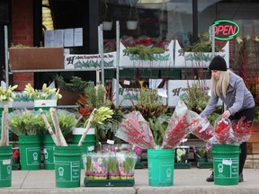 Employee Danielle Kennedy arranges bouquets at Daisy Flowers on Richmond Street in London on Thursday, Dec. 20, 2018. The downtown flower shop took advantage of the balmy weather to display its seasonal offerings ahead of Christmas. (DALE CARRUTHERS, The London Free Press)