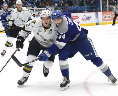 Evan Bouchard, left, of the London Knights, and Cole Candella, of the Sudbury Wolves, battle for the puck during OHL action at the Sudbury Community Arena in Sudbury, Ont. on Friday January 18, 2019. John Lappa/Sudbury Star/Postmedia Network