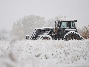 January is a dark month, mentally, for farmers, writes Toban Dyck.