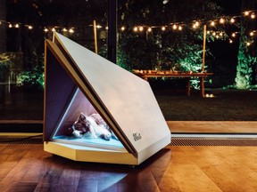 Just a prototype for now, the noise-cancelling kennel is the first in a series of initiatives called Interventions that applies automotive know-how to help solve everyday problems. 
Ford of Europe photo