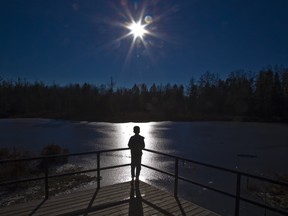 Eleven-year-old Alejandro Bonilla gazes upon the pond at the Sifton Bog in London, Ont. on Friday January 4, 2019. " It reminds me of my home when I used to live in Colombia where there are many beautiful lakes," he said. Derek Ruttan/The London Free Press/Postmedia Network ORG XMIT: POS1901041416281264