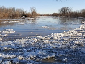 Shown is the Thames River just west of Chatham on Saturday. (Trevor Terfloth/The Daily News)