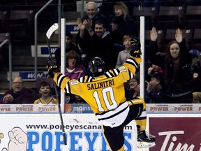 Sarnia Sting's Anthony Salinitri celebrates after scoring against the Owen Sound Attack in the first period at Progressive Auto Sales Arena in Sarnia, Ont., on Sunday, March 12, 2017. Mark Malone/files