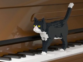 JEKCA’s Sculptor series has introduced Lego cats. (Courtesy JEKCA)