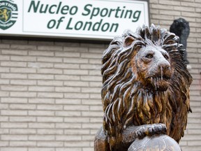 After several hours of freezing rain, ice covers a  wooden sculpture of a lion in front of the Nucleo Sporting of London club on Hamilton Road in London on Wednesday. Derek Ruttan/The London Free Press