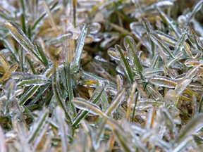 Ice covers blades of grass after several hours of freezing rain in London, Ont. on Wednesday. Derek Ruttan/The London Free Press/Postmedia Network