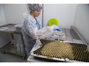 Hailey Stigge  ensures that each joint weighs exactly half-a-gram in the joint making room at Indiva in London, Ont. on Wednesday February 13, 2019. Derek Ruttan/The London Free Press/Postmedia Network