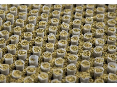 A tray of five hundred cones is filled with ground marijuana in the joint making room at Indiva in London, Ont. on Wednesday February 13, 2019. Derek Ruttan/The London Free Press/Postmedia Network