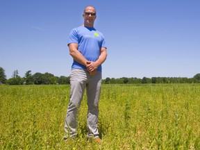 Weed MD chief financial officer Keith Merker stands in a field that will likely be used to grow marijuana out doors near their facility just north of Mt. Brydges west of London, Ont.  Photograph taken on Tuesday July 10, 2018.  Mike Hensen/The London Free Press/Postmedia Network