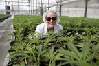 Eve and Co. chief executive Melinda Rombouts inside the company's greenhouse in Strathroy.  (Derek Ruttan/The London Free Press)