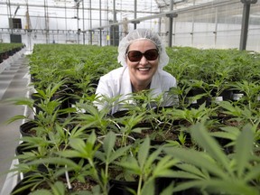 Eve and Co. cheif executive Melinda Rombouts inside the company's greenhouse in Strathroy. (Derek Ruttan/The London Free Press)