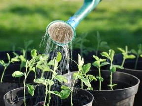 Watering