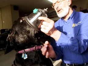 Glen Bailey demonstrates a pet oxygen mask on Cora last Thursday at the Tillsonburg fire hall, where a free pet oxygen mask kit had been donated to Tillsonburg firefighters. (Chris Abbott/Tillsonburg News)