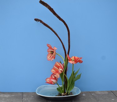 Sandy Wilson created a water viewing beauty with tulips.