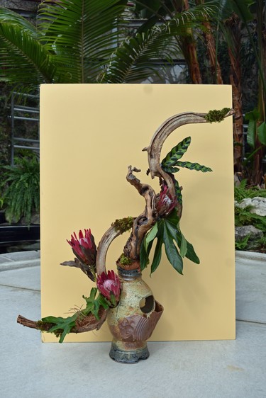 A recent trip to the Galapagos inspired Linda Hawker to create this earthy floral design using protea flowers, fatsia and monstera leaves as an artsy interpretation of the islands.