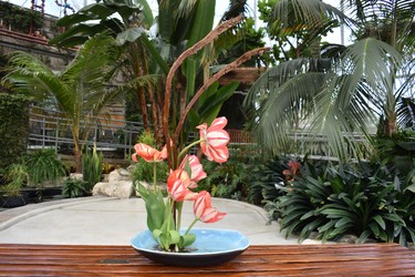 Sandy Wilson’s tulips in water blends in beautifully in London’s atrium.