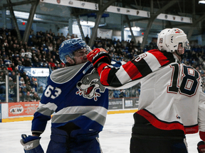 The Ottawa 67's won their series against the Sudbury Wolves on Thursday night. (JACOB KELLY/Ottawa 67's)