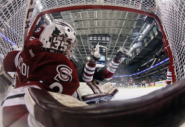 LONDON, ON - MAY 21: Justin Nichols #39 of the Guelph Storm is pushed into the net during the game against the London Knights during the 2014 Memorial Cup tournament at Budweiser Gardens on May 21, 2014 in London, Ontario, Canada.  (Photo by Bruce Bennett/Getty Images)