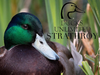 Ducks Unlimited Strathroy (social media logo)