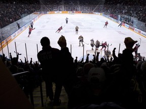 Oshawa Generals fans at the Tribute Communities Centre, in Oshawa on Sunday January 14, 2018. (CP file photo)