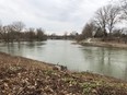 Thames River at the forks in London.