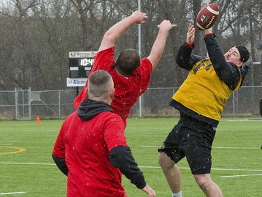 Waterloo Warriors alumnus Cody Tapsell can't quite catch a pass while covered by Guelph Gryphon alumni Grant MacDonald and Adam Carapella, both of London, during the annual Alex Hebert Good Friday Bowl in London. The touch football tournament raises money for the Alex Hebert Mental Health Fund. (Derek Ruttan/The London Free Press)