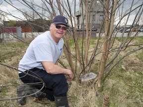 Dan Jones, land management supervisor for the Upper Thames River Conservation Authority, is leading a team to revitalize the land around the Westminster Ponds. (Derek Ruttan/The London Free Press)